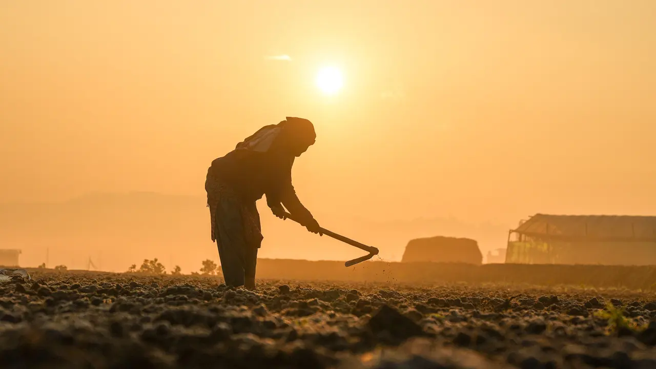 Lavoratore agricolo che zappa il campo in una giornata di sole e caldo